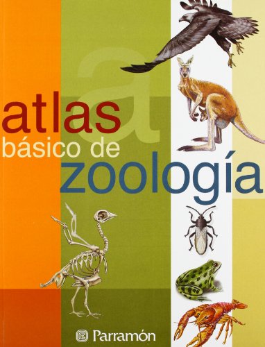 Stock image for Atlas bsico de Zoologa (Atlas bsicos) Tola, Jos and Infiesta, Eva for sale by VANLIBER