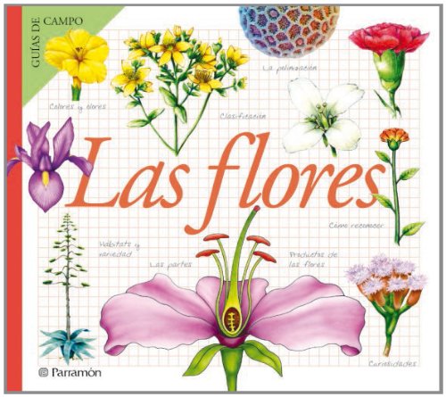LAS FLORES (Spanish Edition) (9788434229617) by Julivert ZamarreÃ±o, Ã€ngels