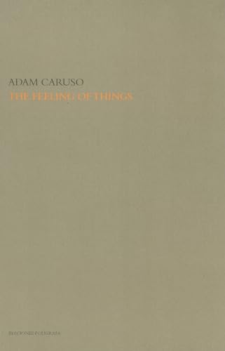 Imagen de archivo de The Feeling of Things By Adam Caruso a la venta por Front Cover Books