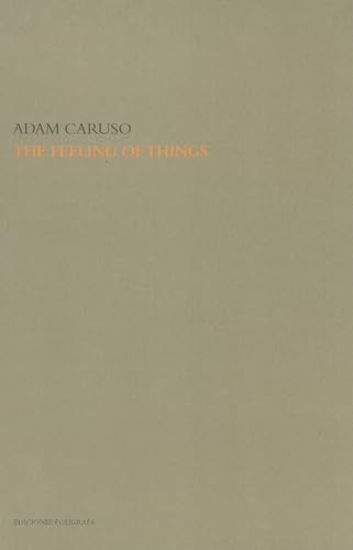 Stock image for The Feeling of Things By Adam Caruso for sale by Front Cover Books