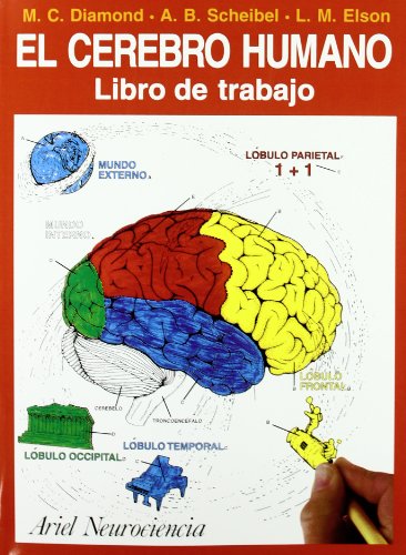 Stock image for El cerebro humano : libro de trabajo (Neurociencia (ariel)) for sale by medimops