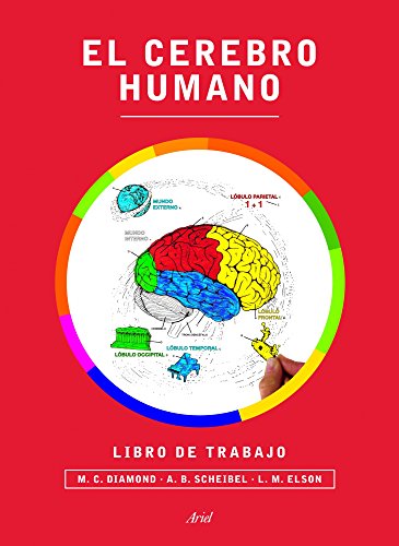 Beispielbild fr EL CEREBRO HUMANO. LIBRO DE TRABAJO zum Verkauf von Zilis Select Books