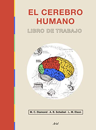 Stock image for EL CEREBRO HUMANO: Libro de trabajo for sale by KALAMO LIBROS, S.L.