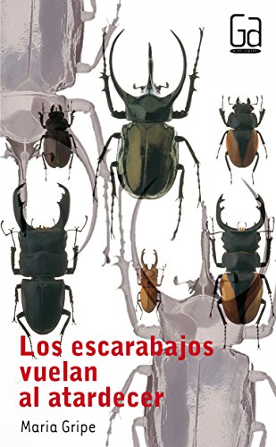 9788434811638: Los escarabajos vuelan al atardecer/ The Beetles Fly at Dusk