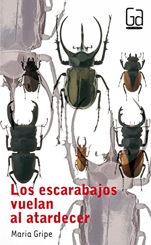 9788434811638: Los escarabajos vuelan al atardecer (Gran Angular) (Spanish Edition)