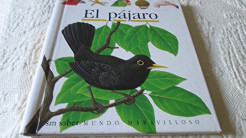 Stock image for El Pjaro for sale by Hamelyn