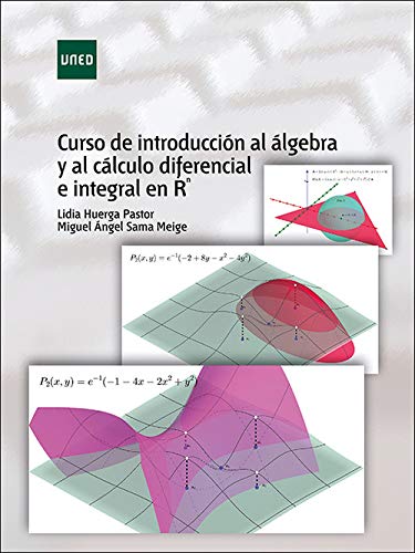 Imagen de archivo de Curso de introduccin al lgebra y al clculo diferencial e integral en R^N a la venta por Zilis Select Books