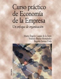 Imagen de archivo de Curso prctico de economa de la emprLuque De La Torre, Mara ngeles a la venta por Iridium_Books