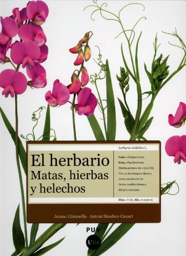 9788437071954: El herbario: matas, hierbas y helechos (Fora de Collecci)