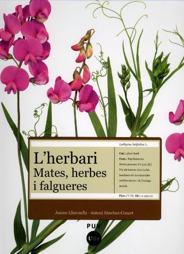 Imagen de archivo de 8*HERBARI: MATES, HERBES I FALAGUERES a la venta por Iridium_Books