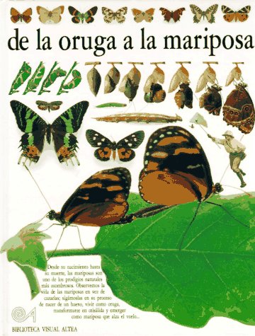 Beispielbild fr De la Oruga a la Mariposa zum Verkauf von Hamelyn