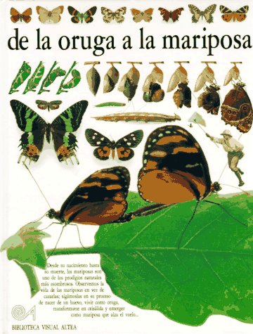 9788437237091: De la oruga a la mariposa (Eyewitness Series in Spanish)