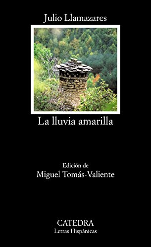 Stock image for LA LLUVIA AMARILLA for sale by KALAMO LIBROS, S.L.