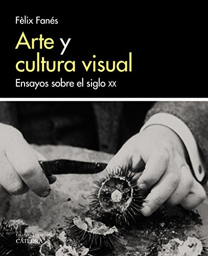 Imagen de archivo de ARTE Y CULTURA VISUAL. ENSAYOS SOBRE EL SIGLO XX a la venta por KALAMO LIBROS, S.L.