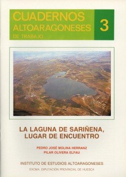 9788439882893: La Laguna de Sariena, lugar de encuentro (Cuadernos Altoaragoneses de Trabajo)