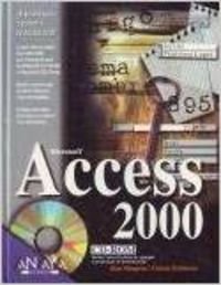 Imagen de archivo de La Biblia de Access 2000 a la venta por Librera Prez Galds