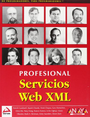 Imagen de archivo de SERVICIOS WEB XML PROFESIONAL a la venta por Zilis Select Books