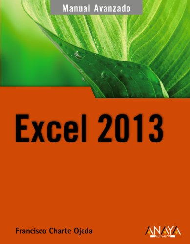 9788441533615: Excel 2013 (MANUALES AVANZADOS)