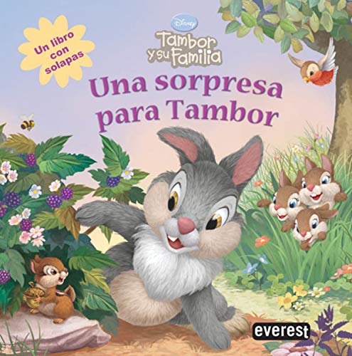 9788444160733: Una sorpresa para Tambor (Tambor y su familia / Libros de cartn) (Spanish Edition)