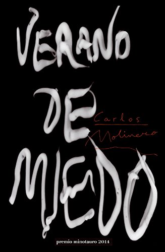 Stock image for VERANO DE MIEDO for sale by KALAMO LIBROS, S.L.