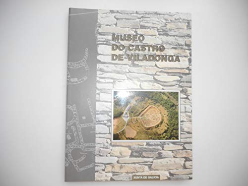 9788445316979: Museo do Castro de Viladonga, Castro de Rei, Lugo