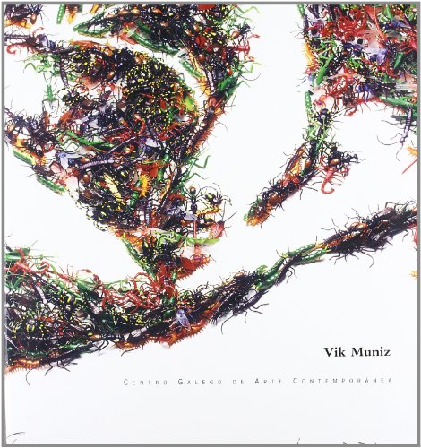 Stock image for VIK MUNIZ for sale by Howard Karno Books, Inc.