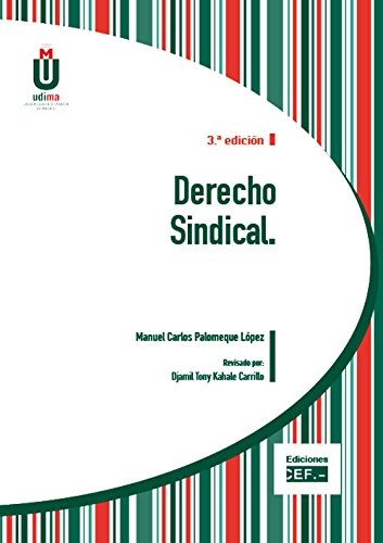 Stock image for DERECHO SINDICAL for sale by Zilis Select Books