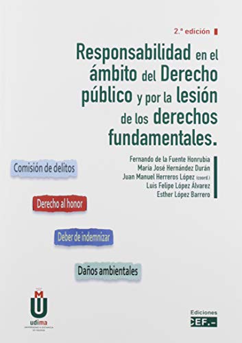 Imagen de archivo de Responsabilidad en el mbito del derecho pblico por la lesin de los derechos fundamentales a la venta por AG Library