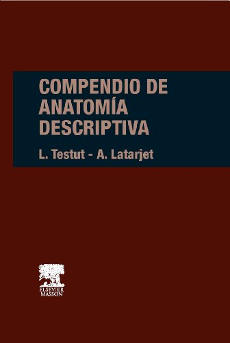 Imagen de archivo de Compendio de anatomia descriptiva (Spanish Edition) a la venta por HPB-Red
