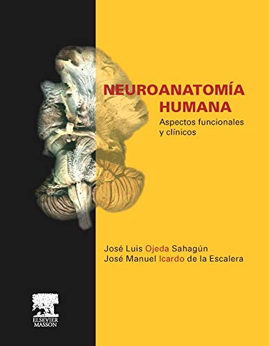 Imagen de archivo de ojeda neuroanatomia humana aspectos funcionales y clinicos a la venta por DMBeeBookstore