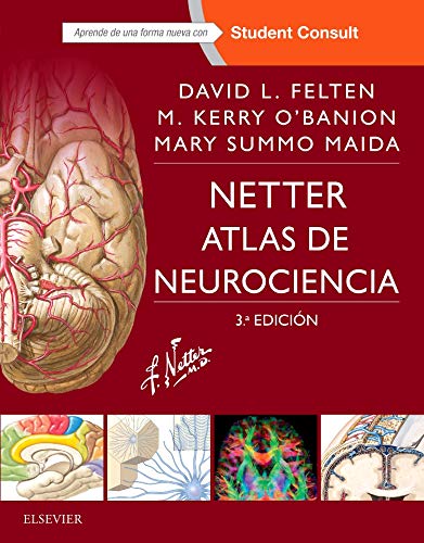 Stock image for Netter. Atlas de neurociencia + StudentConsult (3 ed.) for sale by medimops