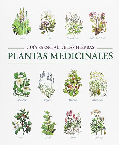 9788445909249: EL MUNDO DE LAS PLANTAS MEDICINALES - CHESSI, EDMUND:  844590924X - AbeBooks