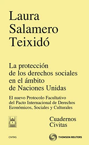 Imagen de archivo de La proteccin de los derechos sociales en el mbito de Naciones Unidas el nuevo Protocolo Facultativo del Pacto Internacional de Derechos Econmicos, Sociales y Culturales a la venta por MARCIAL PONS LIBRERO