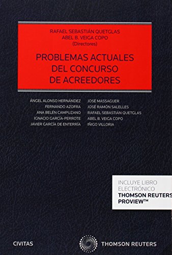Imagen de archivo de PROBLEMAS ACTUALES DEL CONCURSO DE ACREEDORES (P+EB) a la venta por Iridium_Books