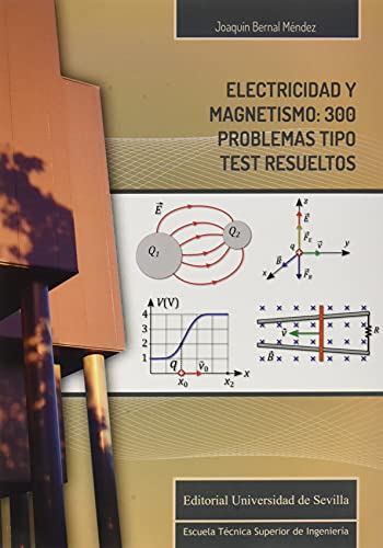 Stock image for ELECTRICIDAD Y MAGNETISMO: 300 PROBLEMAS TIPO TEST RESUELTOS. for sale by KALAMO LIBROS, S.L.