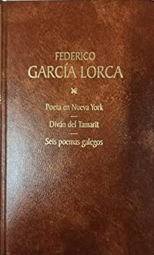 Stock image for libro poeta en nueva york de federico garcia lorca Ed. 1998 for sale by DMBeeBookstore