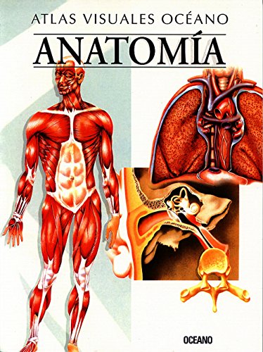 Imagen de archivo de Anatomia/ Anatomy a la venta por medimops