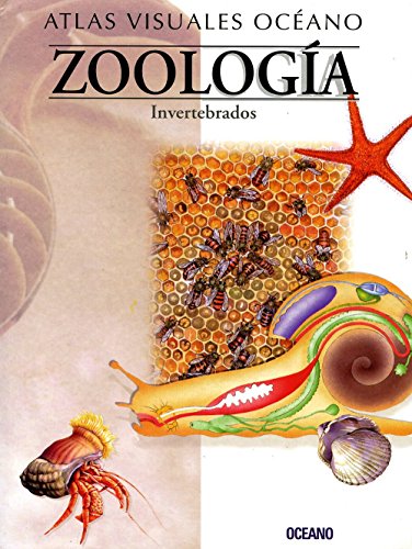 Stock image for Zoologia : Invertebrados for sale by Better World Books: West