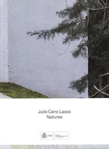 Beispielbild fr Julio Cano Lasso - Natures zum Verkauf von Art Data