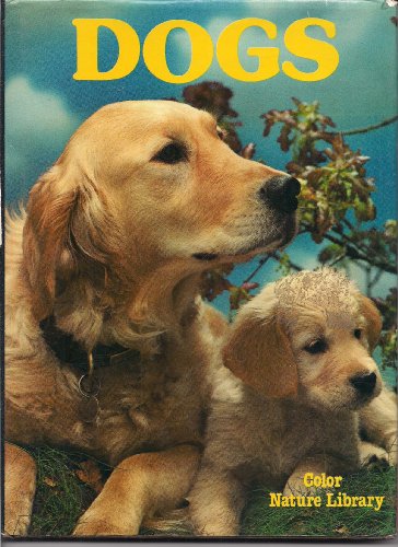 Imagen de archivo de Dogs a la venta por Wonder Book