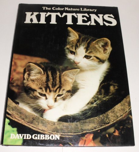 9788449950520: Title: Kittens