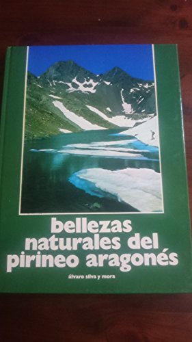 Imagen de archivo de Bellezas Naturales Del Pirineo Aragones a la venta por Hamelyn