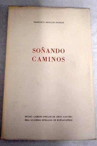 Beispielbild fr Son?ando caminos (Spanish Edition) zum Verkauf von Iridium_Books