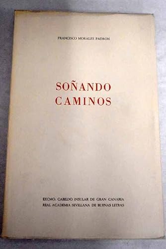 Stock image for Son?ando caminos (Spanish Edition) for sale by Iridium_Books