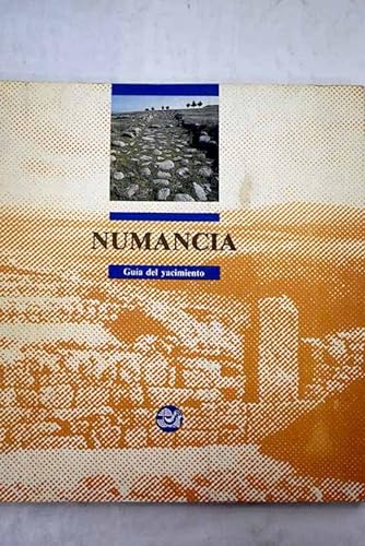 Stock image for Numancia: gua del yacimiento for sale by medimops
