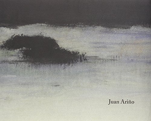 Stock image for JUAN ARIO for sale by KALAMO LIBROS, S.L.