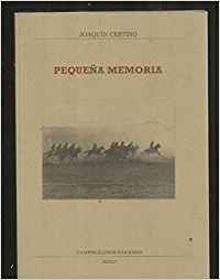 Imagen de archivo de Pequea Memoria a la venta por Iridium_Books