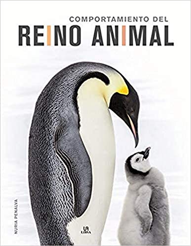 Beispielbild fr Comportamiento del Reino Animal zum Verkauf von Agapea Libros