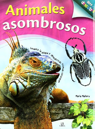 Stock image for Animales asombrosos / Amazing Animals (Abre y descubre / Opens and Discover) (Spanish Edition) for sale by Iridium_Books