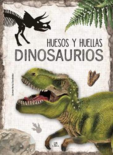 Imagen de archivo de Dinosaurios a la venta por AG Library